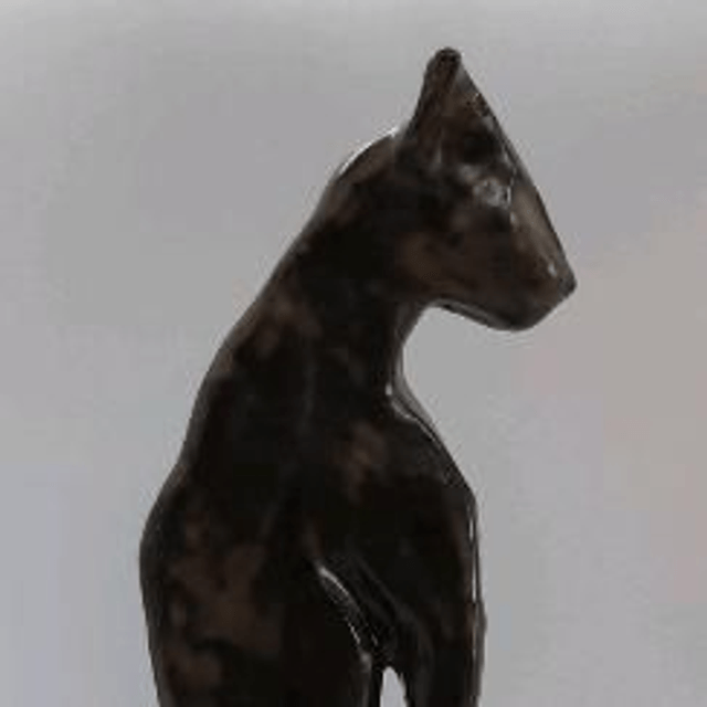 chat ombre  temmoku