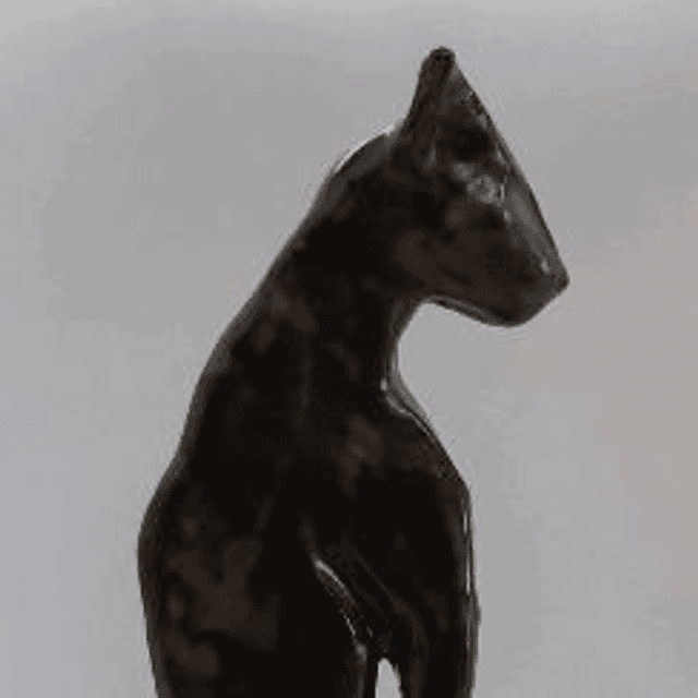 chat ombre  temmoku