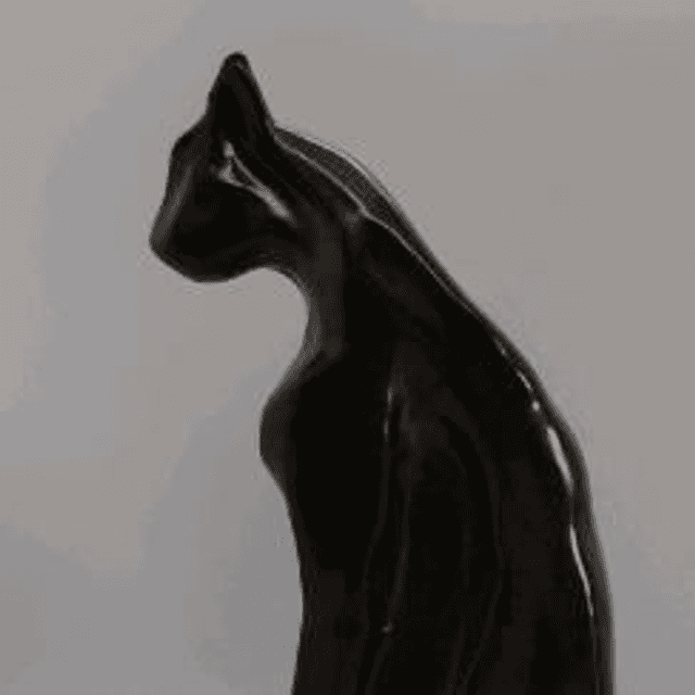 chat  noir   temmoku inspiration japon